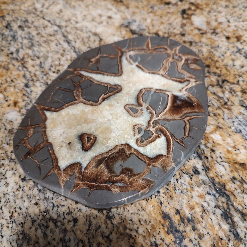 Vintage SEPTARIAN Nodule Slab Mineral With a Lightning Like Pattern